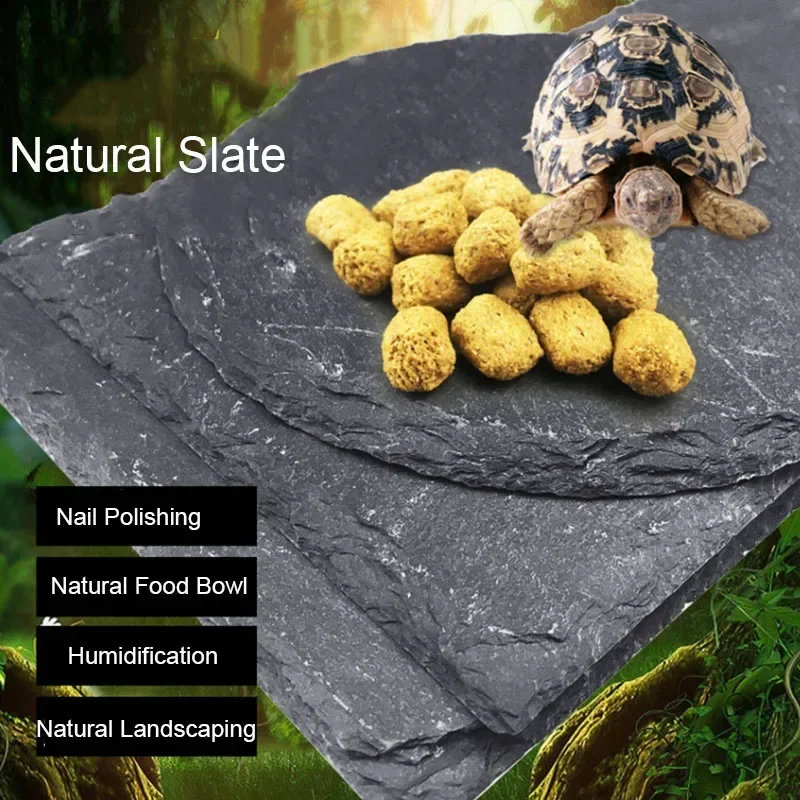 Aquarium Fish Pot - Natuurlijk Leisteen Aquarium Reptiel Feeder Kom