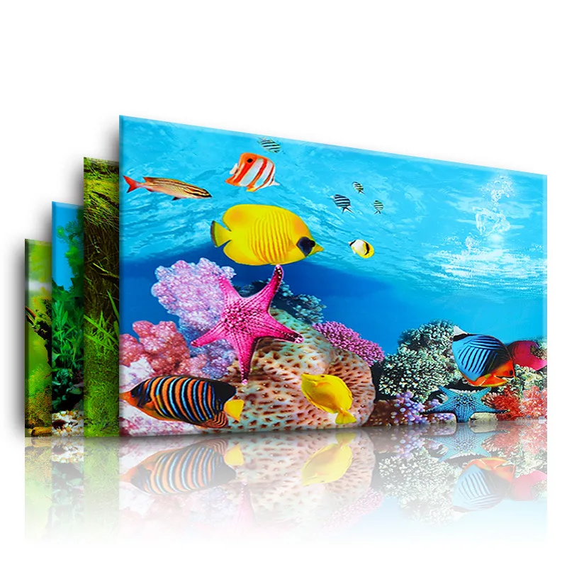Aquarium Fish Photography - Achtergrond voor aquarium 3d sticker poster