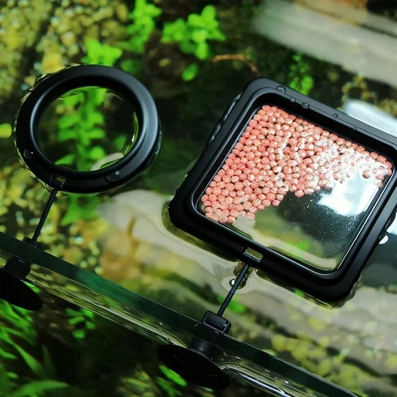 Aquarium Fish Feeder - 1/3 stuks Aquarium Visvoederring Visbak Hartvormig