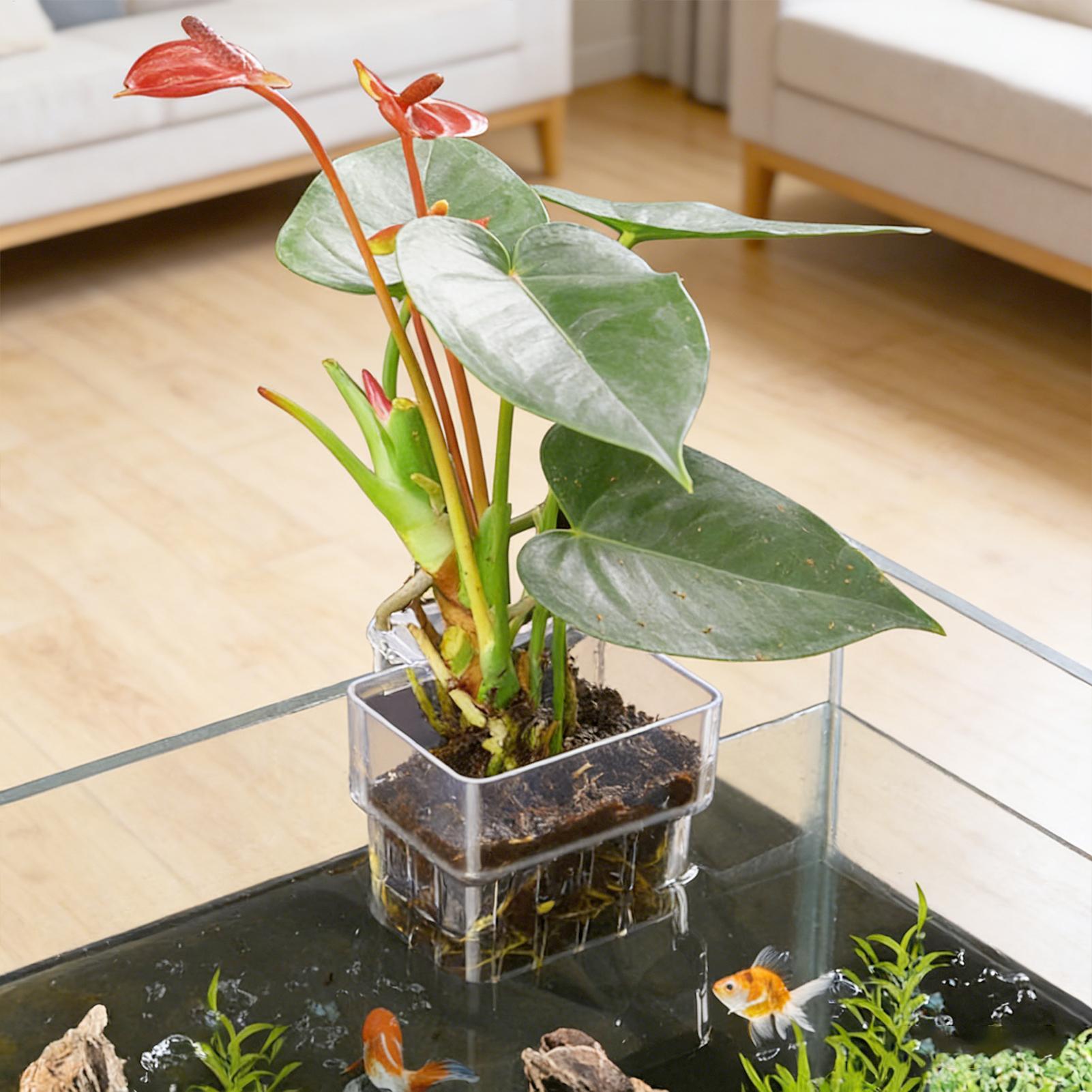 Aquarium Fish Pot - Aquariumplantenmand Transparante hangende decoraties voor de
