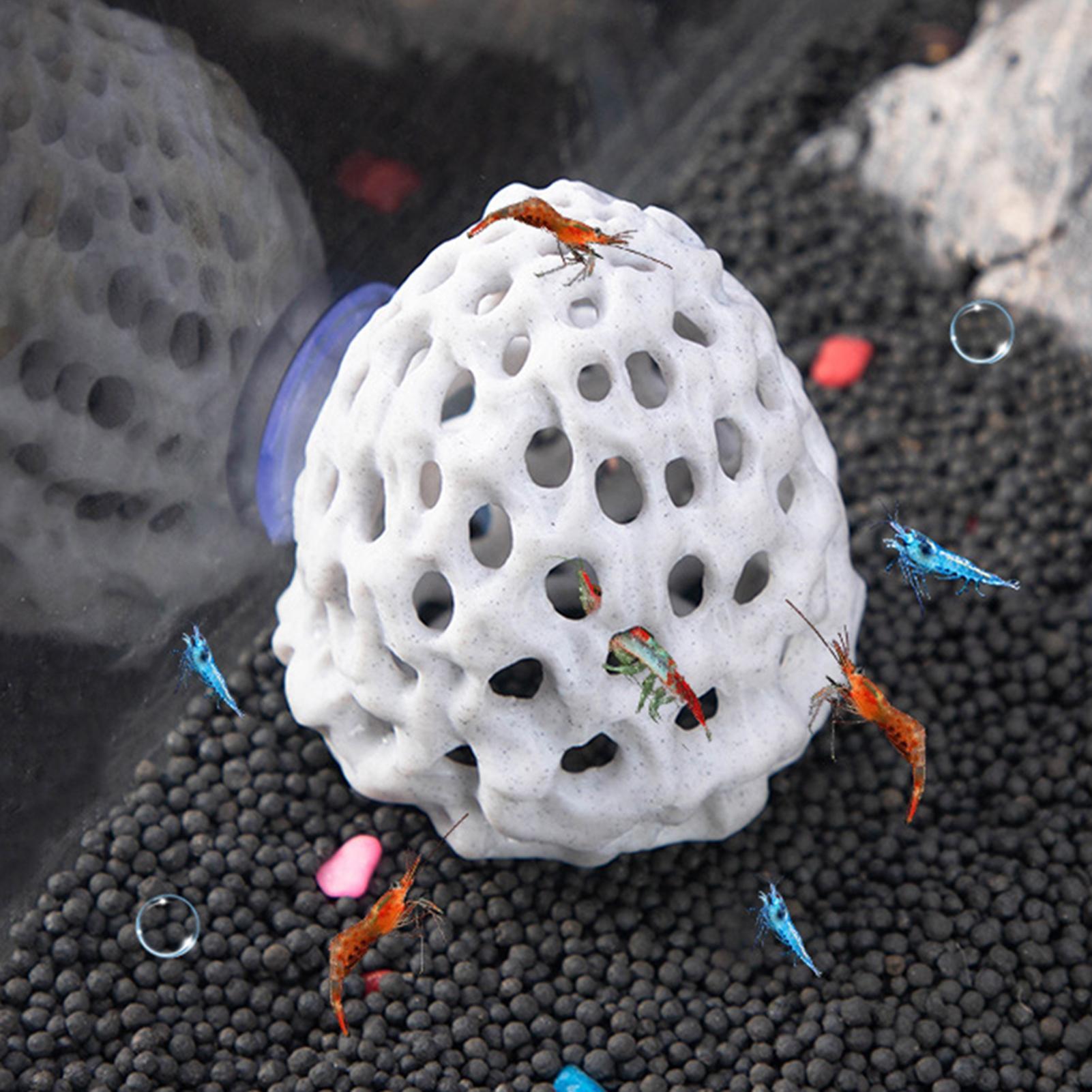 Aquarium Fish Games - Aquarium garnalen huis Grot Mini Poreuze
