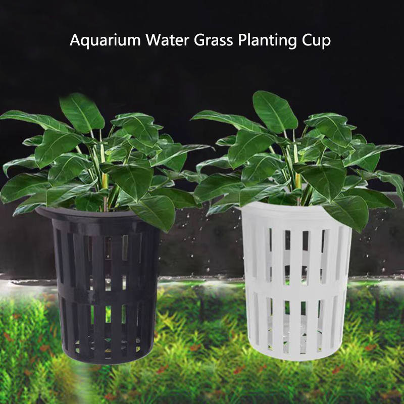 Aquarium Fish Photography - 1/3 Stuks Aquarium Plant Mand Wandmontage