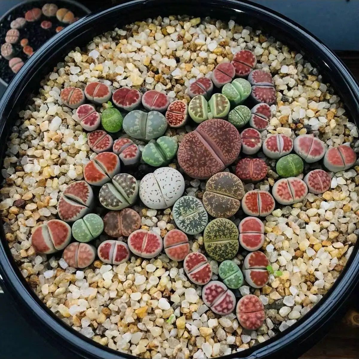 1pc-250g Natuurlijke Kristalle - Aquarium Fish Pot recensie en prijs