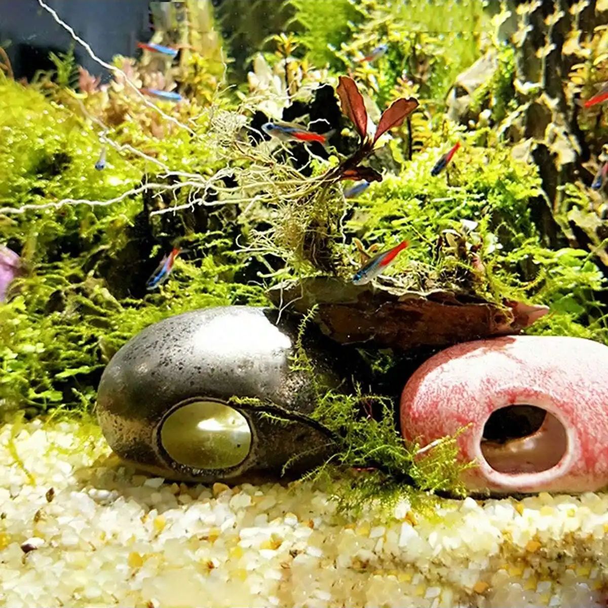 1pc-250g Natuurlijke Kristalle - Aquarium Fish Pot recensie en prijs