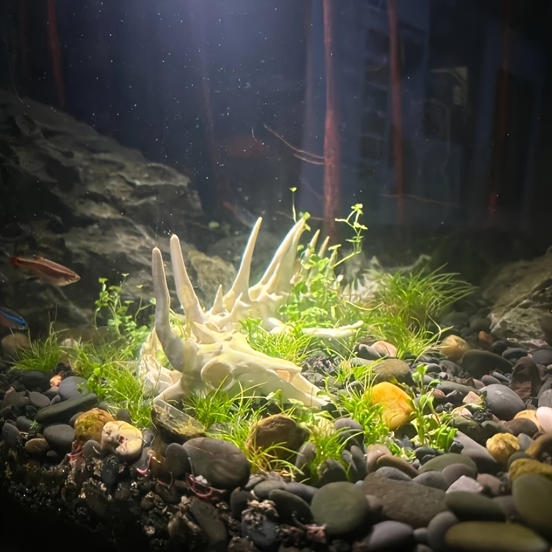 1 stuk drakenvormige visgraatd - Aquarium Fish Games recensie en prijs