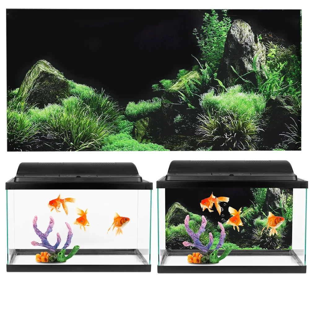 Achtergrond Voor Aquarium 3d S - Aquarium Fish Photography recensie en prijs
