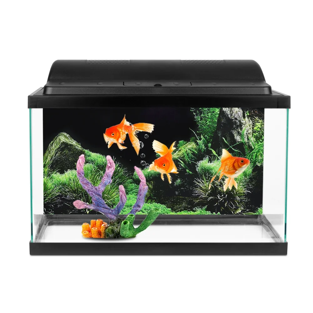 Achtergrond Voor Aquarium 3d S - Aquarium Fish Photography recensie en prijs