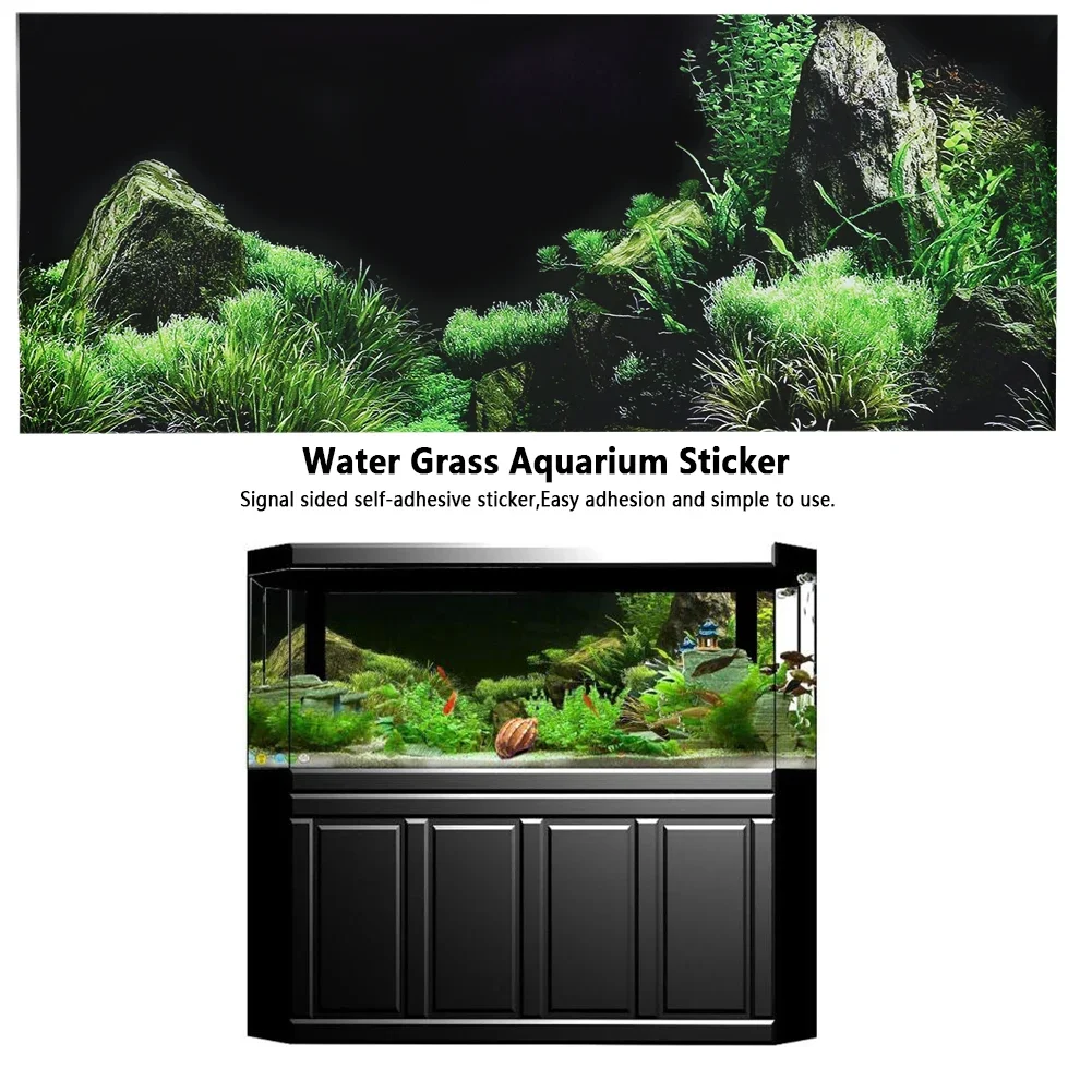 Achtergrond Voor Aquarium 3d S - Aquarium Fish Photography recensie en prijs