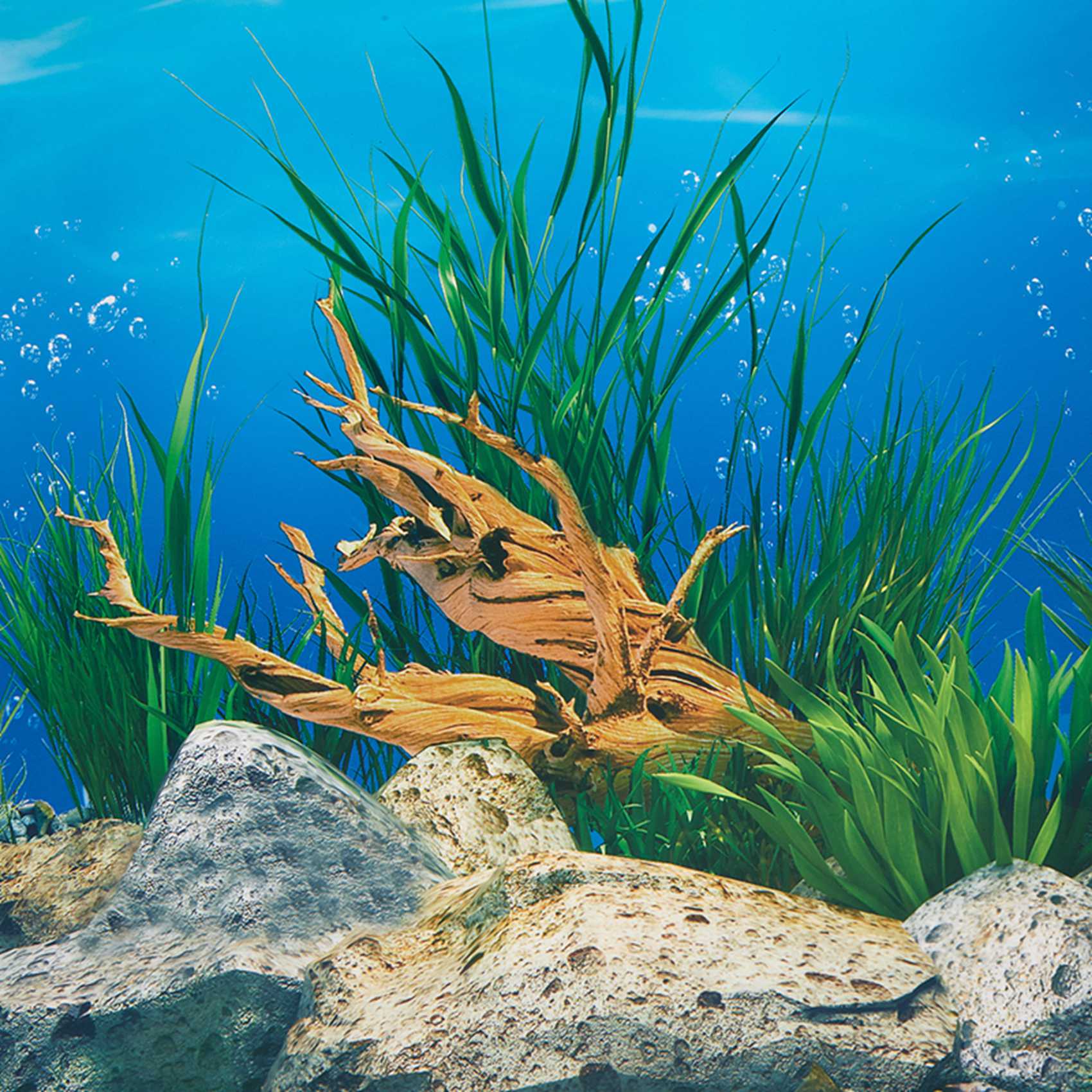 ABWR-Aquarium Achtergrondpapie - Aquarium Fish Wallpaper recensie en prijs
