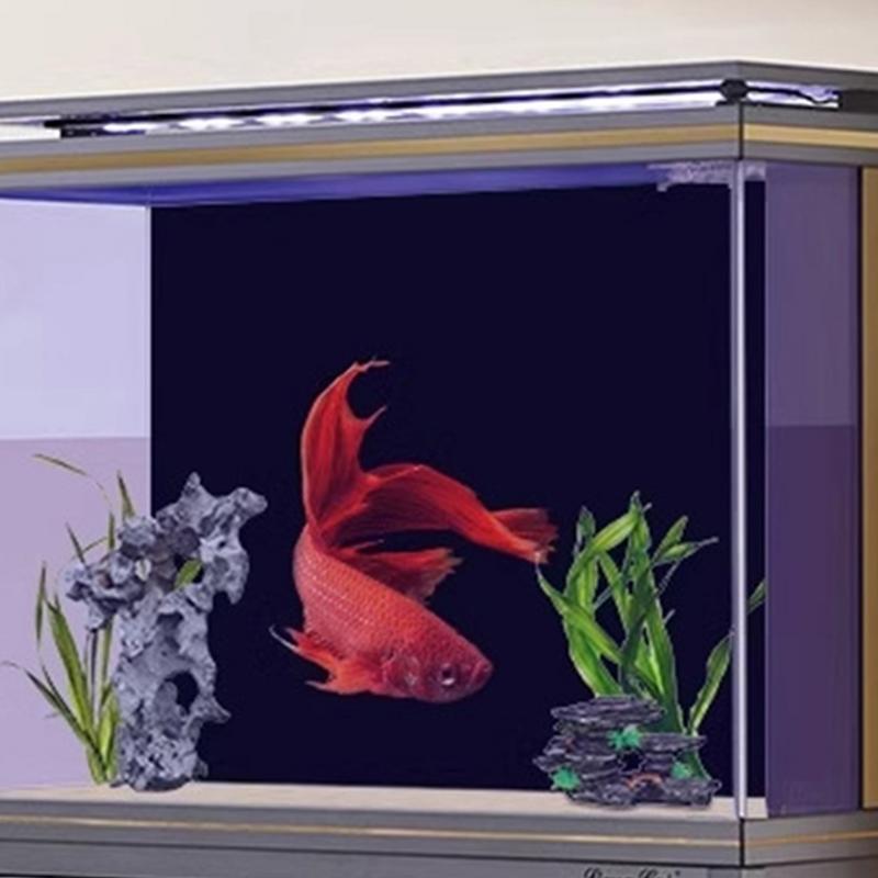 Zwart Aquarium Achtergrond Beh - Aquarium Fish Wallpaper recensie en prijs