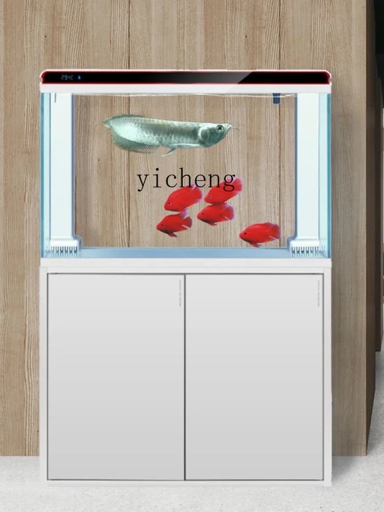 X-24 Super Wit Glas Grote Bode - Xchange Aquarium Fish recensie en prijs