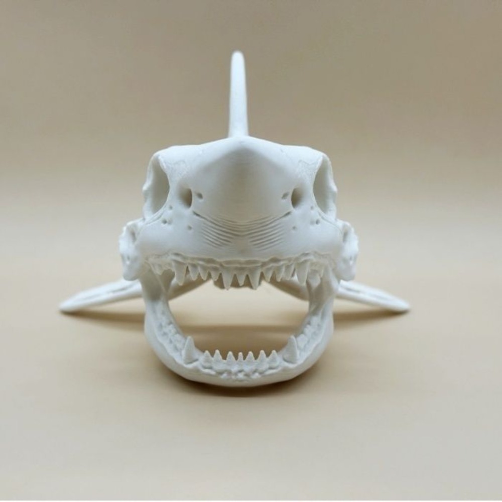 3D-printen Haaienschedel Skele - Aquarium Fish Games recensie en prijs