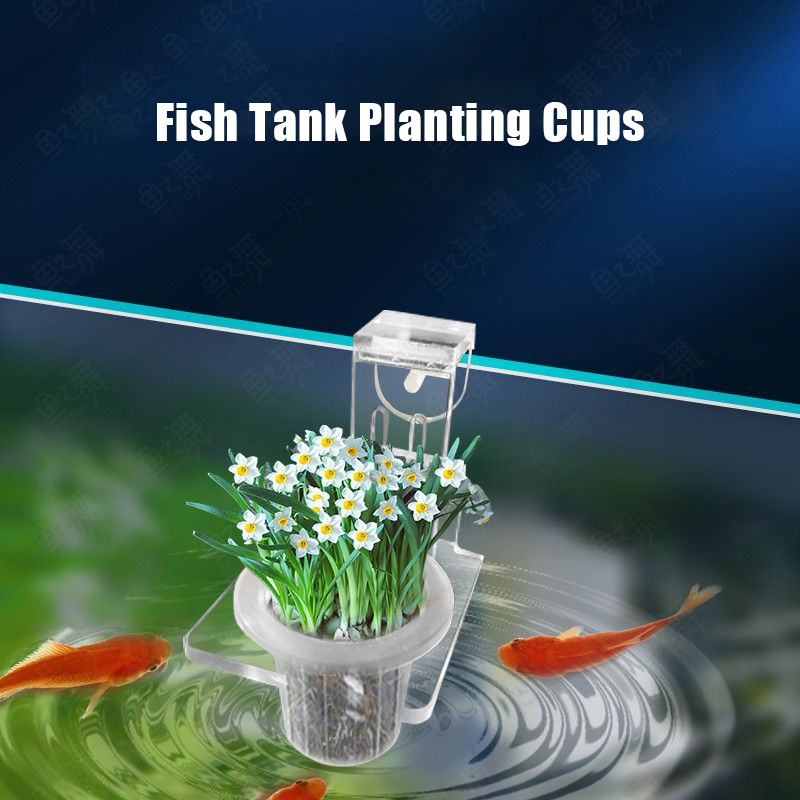 Aquarium Plantbekers Hydrocult - Aquarium Fish Pot recensie en prijs