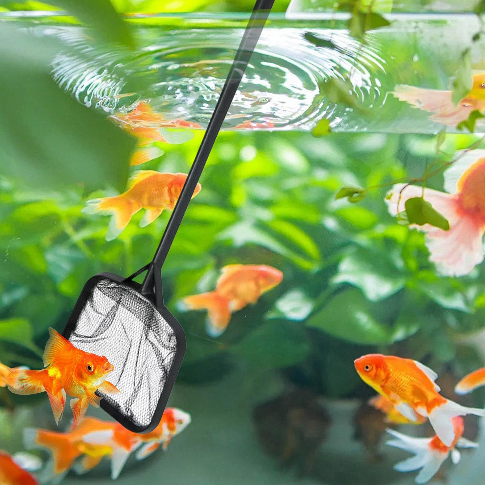 Zwembadnetten voor het reinige - Aquarium Fish Accessories recensie en prijs