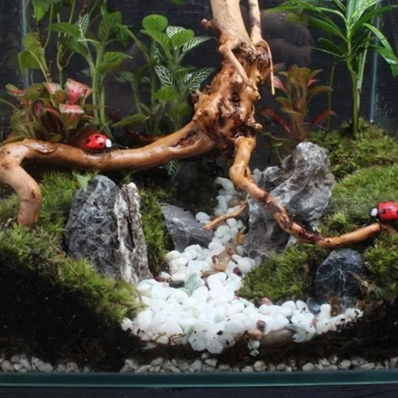 Natuurlijke Boomstam Drijfhout - Aquarium Fish Games recensie en prijs
