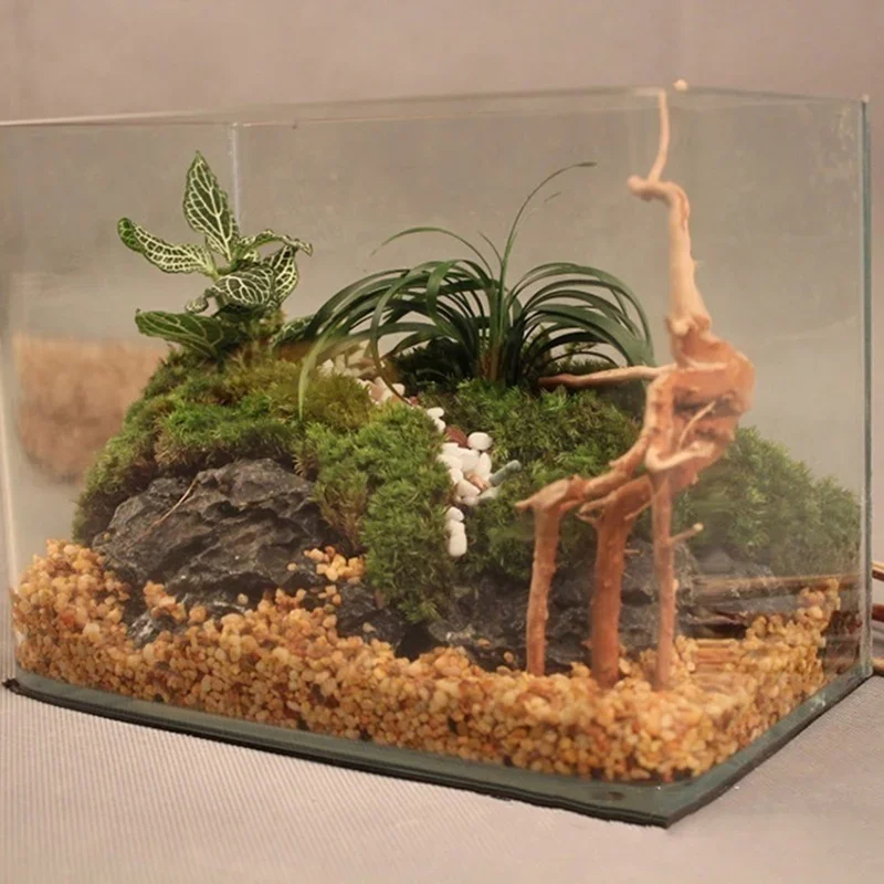 Natuurlijke Boomstam Drijfhout - Aquarium Fish Games recensie en prijs
