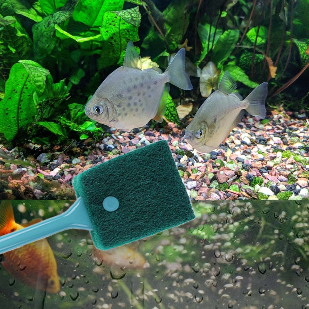 Dubbelzijdige visbak-sponsrein - Aquarium Fish Accessories recensie en prijs