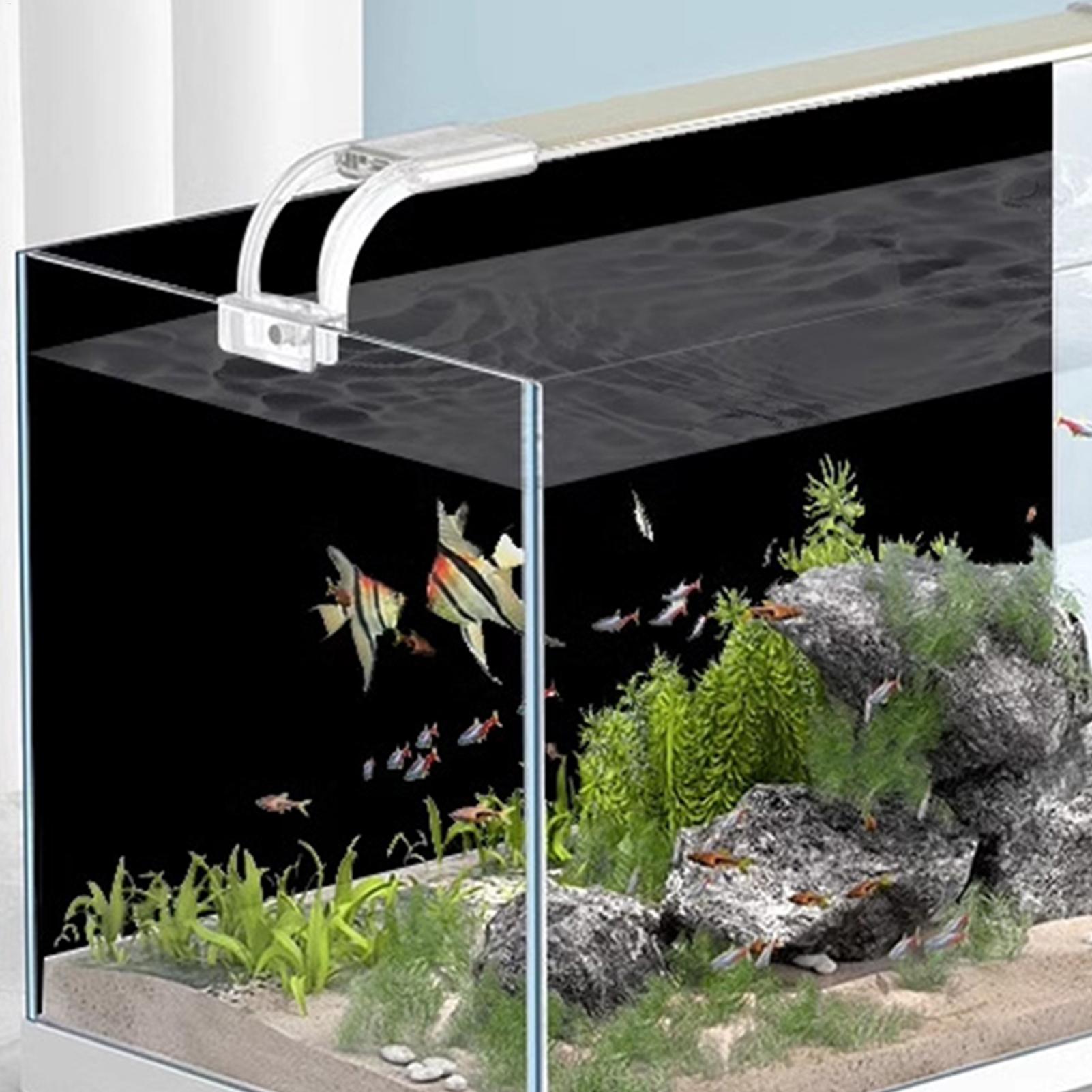 Zwarte aquarium achtergrond, s - Aquarium Fish Wallpaper recensie en prijs