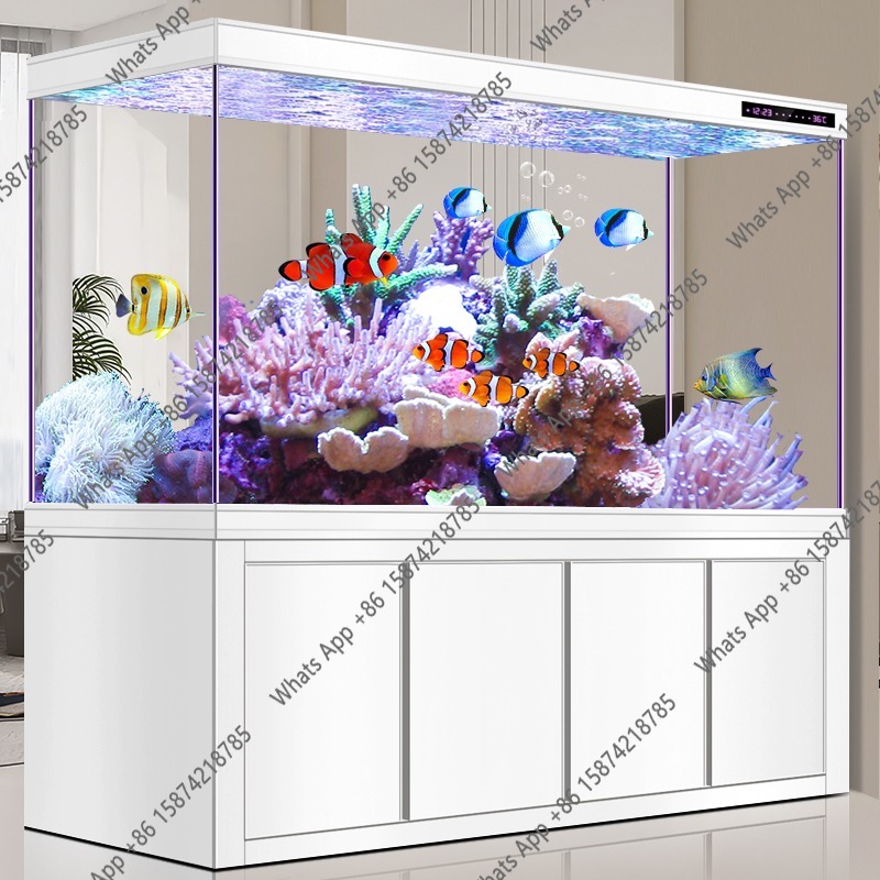 X Arowana Tank Ultra-wit Glas  - Xchange Aquarium Fish recensie en prijs