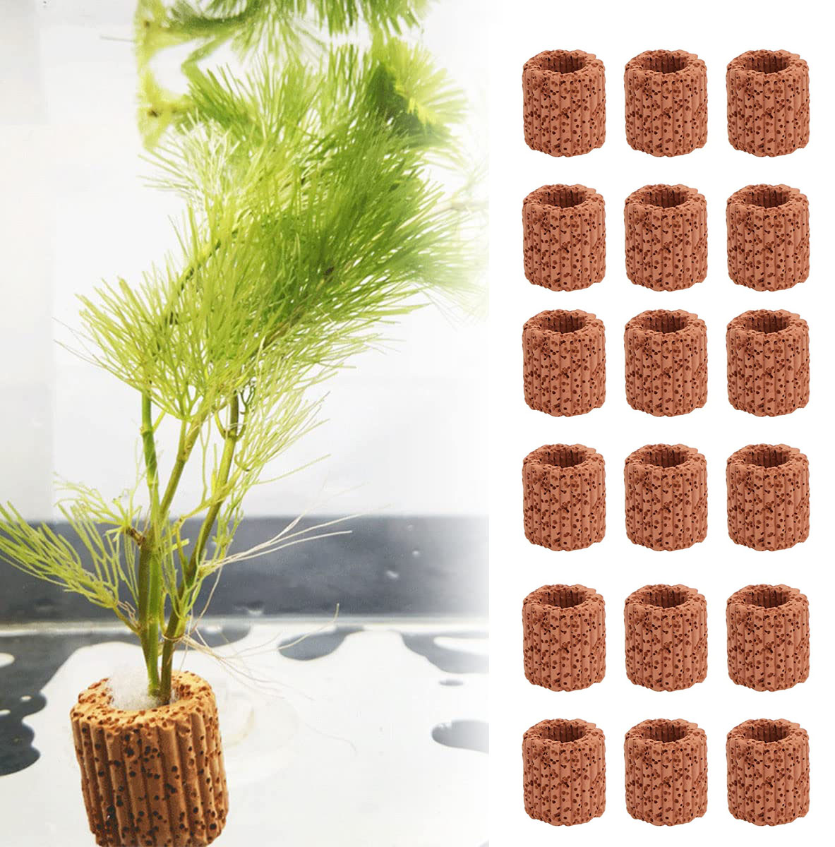 10/20Pcs Aquatisch Water Plant - Aquarium Fish Pot recensie en prijs