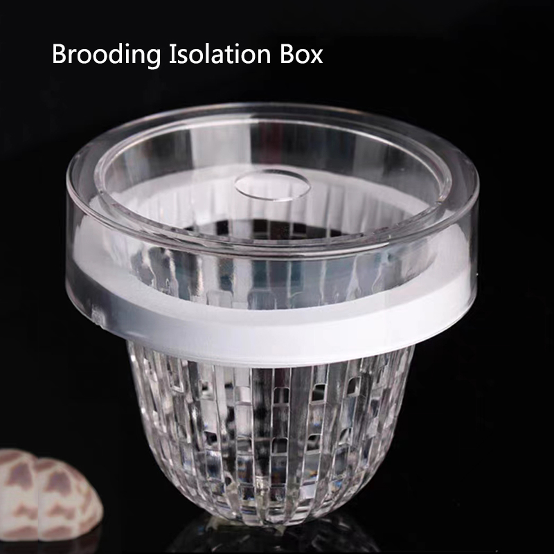 Acryl Drijvende Viskweek Isola - Aquarium Fish Feeder recensie en prijs
