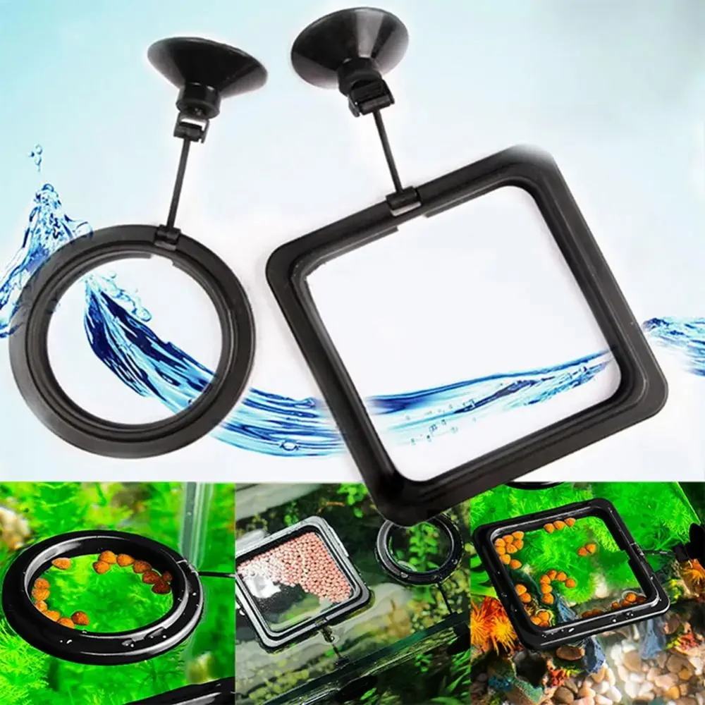 Voer Zuignap Aquarium Voederri - Aquarium Fish Feeder recensie en prijs