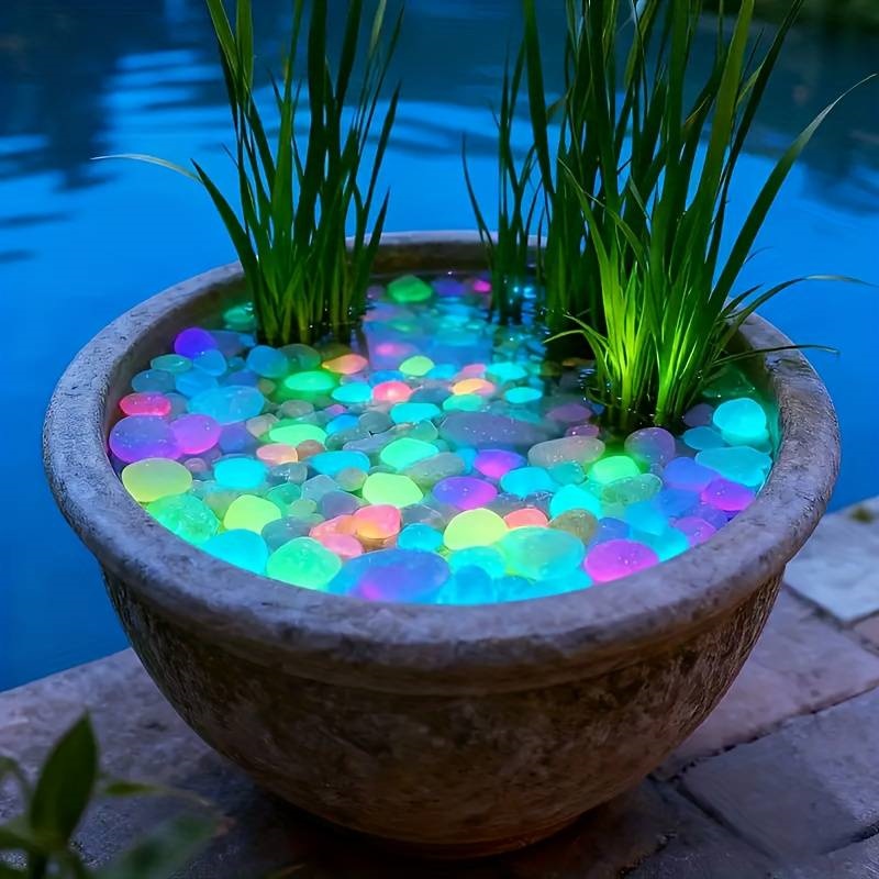 200 stuks Glow-in-the-dark tui - Aquarium Fish That Glow In The Dark recensie en prijs