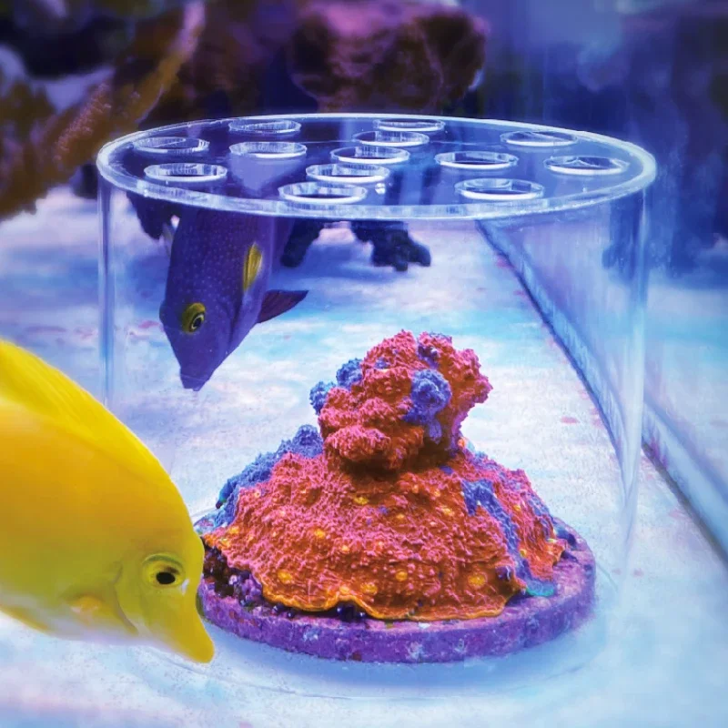 Vastocean Aquarium Acryl Koraa - Aquarium Fish Feeder recensie en prijs