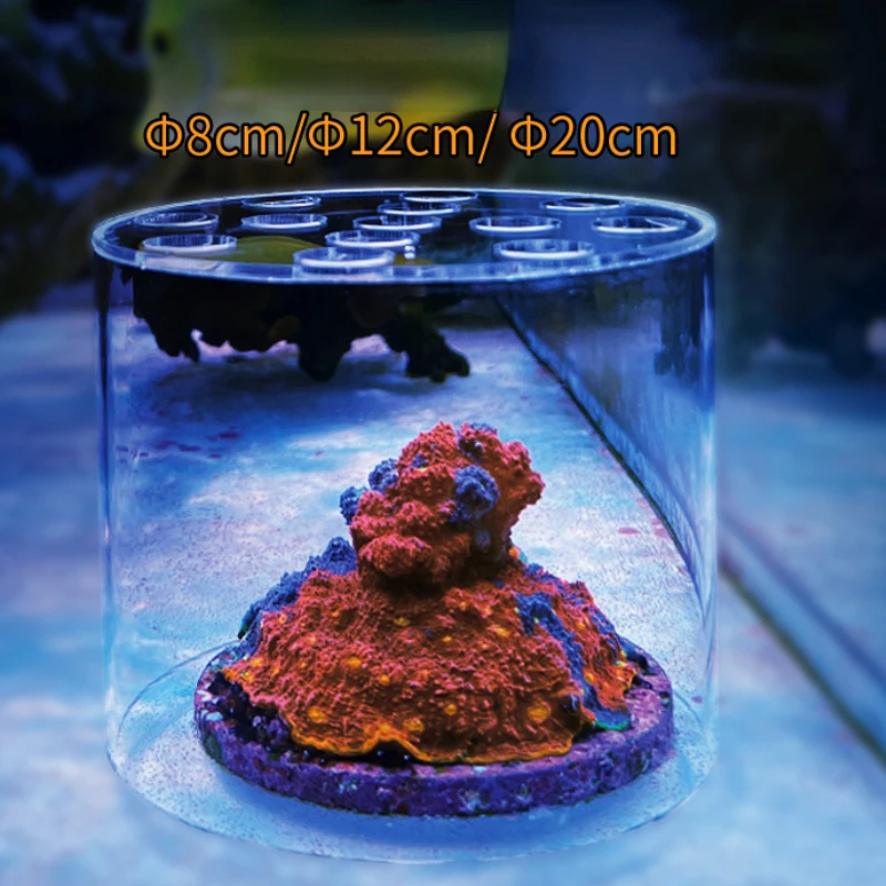 Vastocean Aquarium Acryl Koraa - Aquarium Fish Feeder recensie en prijs