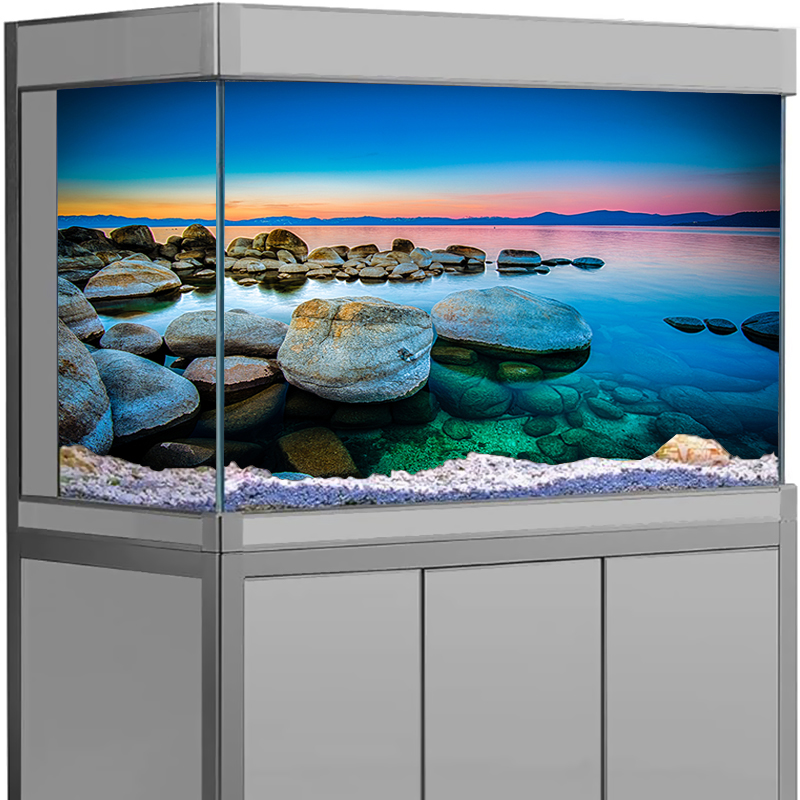 Aquarium Achtergrond Sticker S - Aquarium Fish Wallpaper recensie en prijs