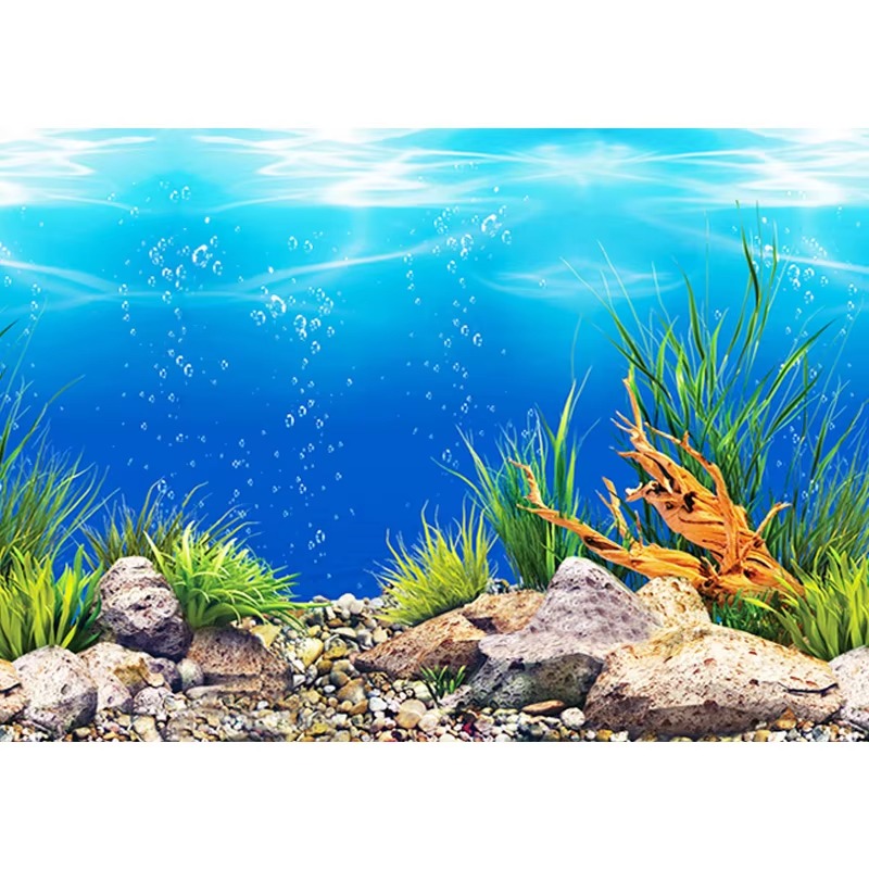 50cm Aquariumdecoratie Waterdi - Aquarium Fish Wallpaper recensie en prijs