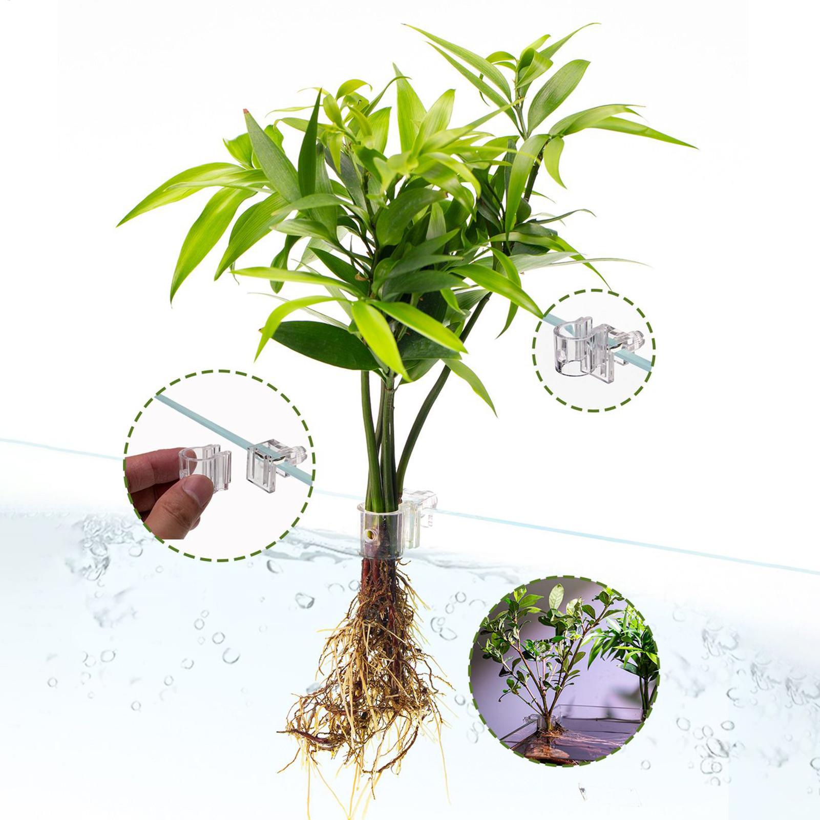 Mini Aquarium Plantenbak 6 Stu - Aquarium Fish Pot recensie en prijs