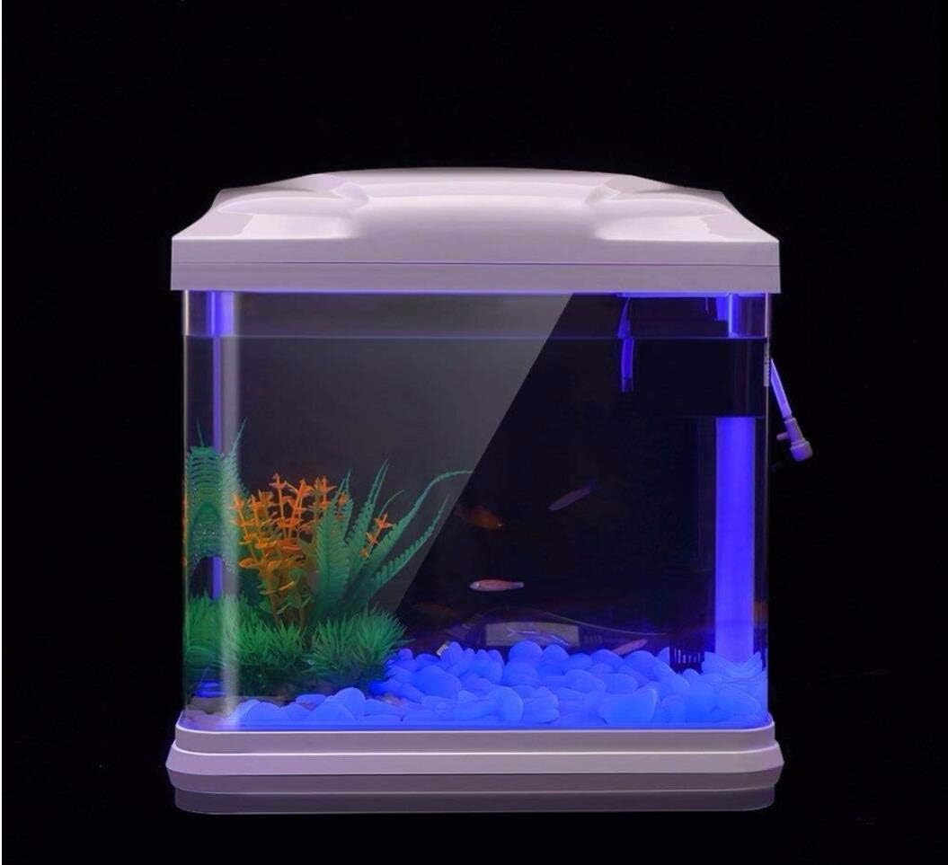 Aquarium Rotsen Glow Blue Kiez - Aquarium Fish Pot recensie en prijs