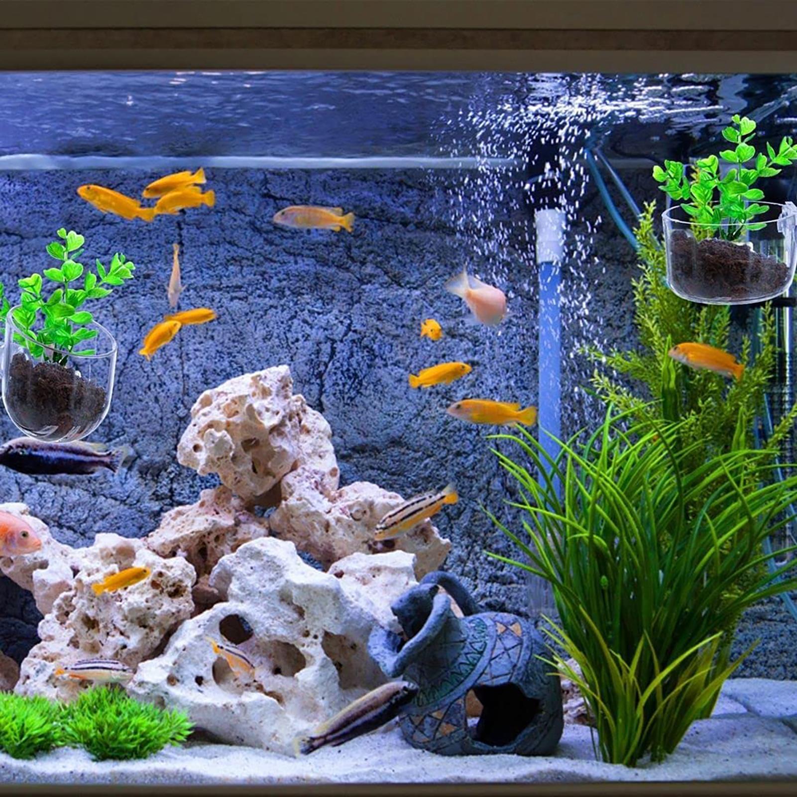 Aquatische plantenpot Helder a - Aquarium Fish Pot recensie en prijs