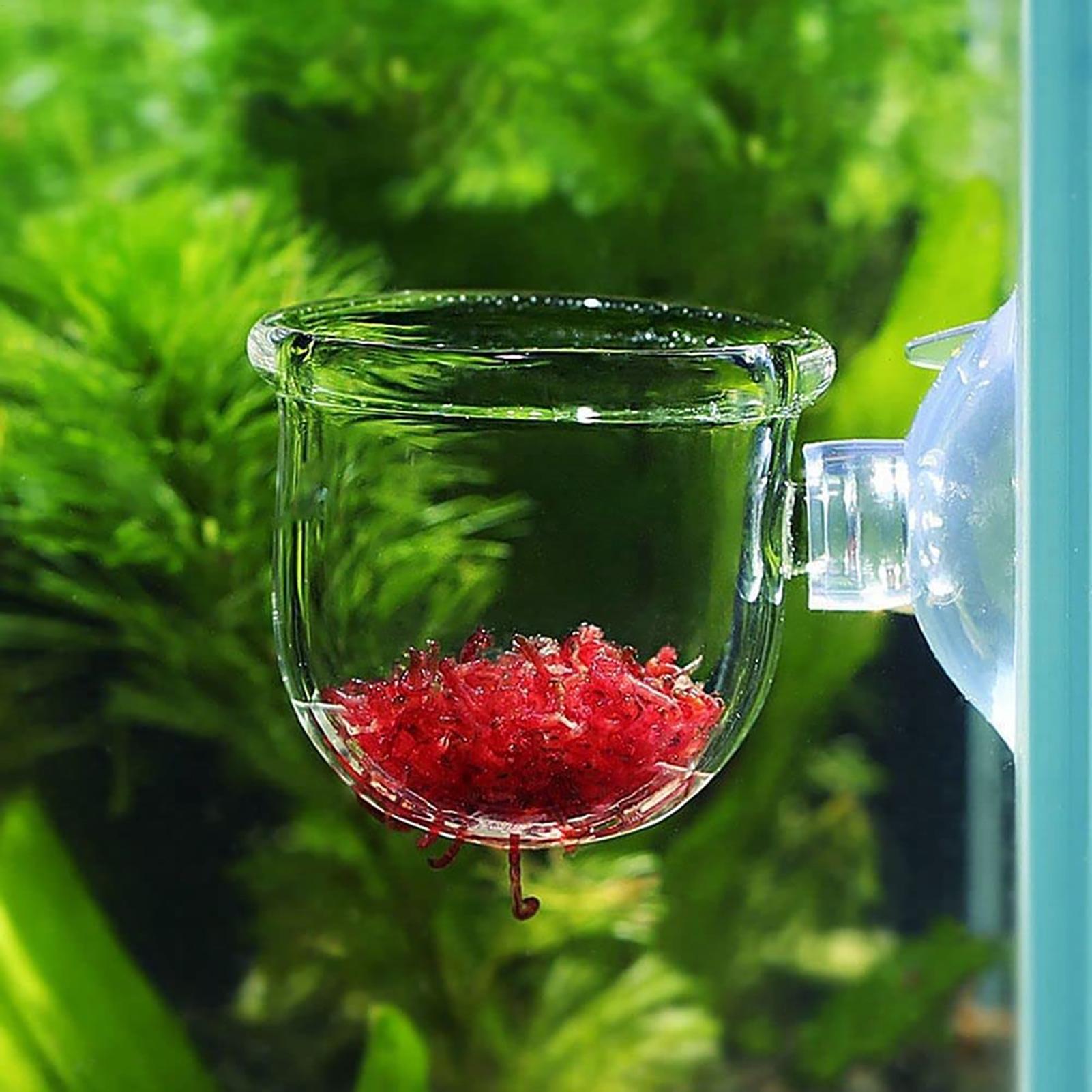 Aquatische plantenpot Helder a - Aquarium Fish Pot recensie en prijs