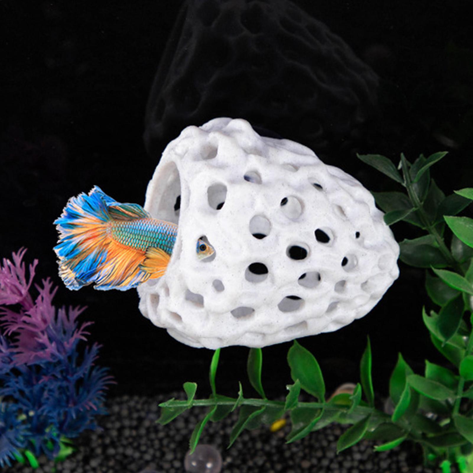 Aquarium garnalen huis Grot Mi - Aquarium Fish Games recensie en prijs