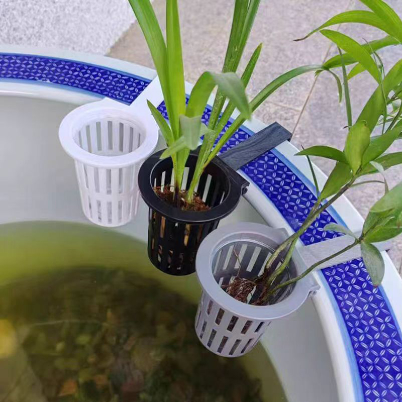 1/3 Stuks Aquarium Plant Mand  - Aquarium Fish Photography recensie en prijs