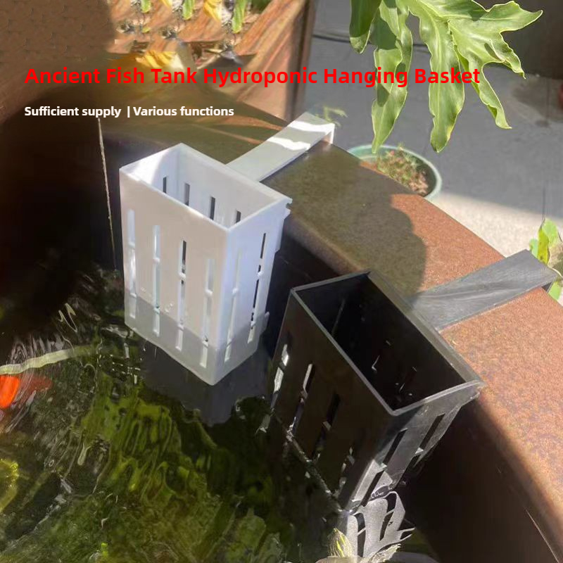 1/3 Stuks Aquarium Plant Mand  - Aquarium Fish Photography recensie en prijs