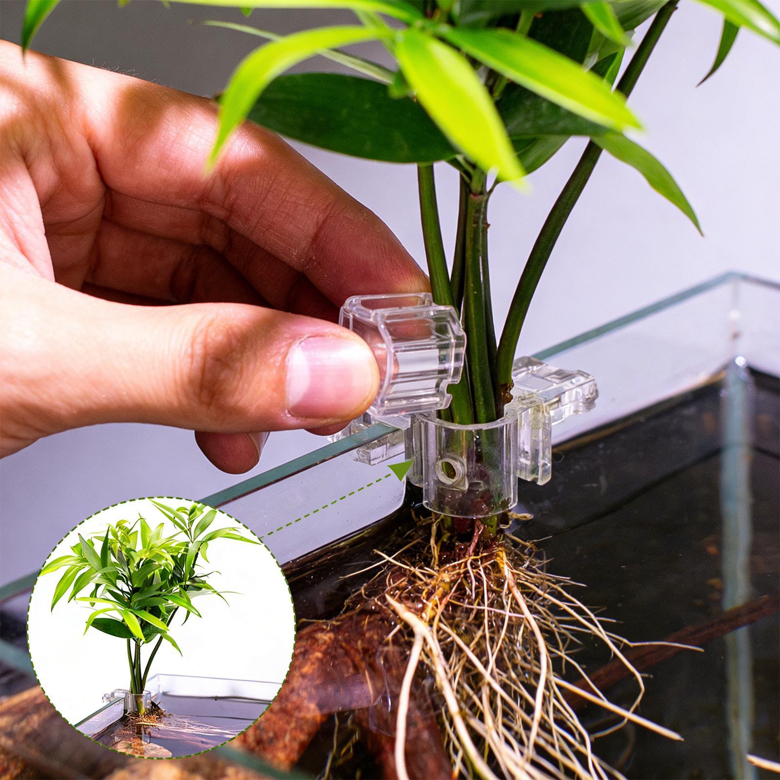 Aquariumplantenmand Transparan - Aquarium Fish Pot recensie en prijs
