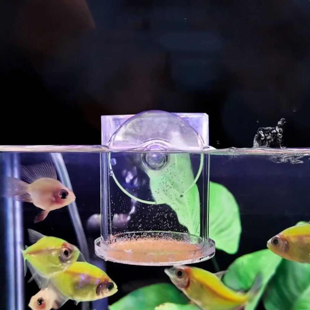 Rechthoekige/ronde aquariumzui - Aquarium Fish Feeder recensie en prijs