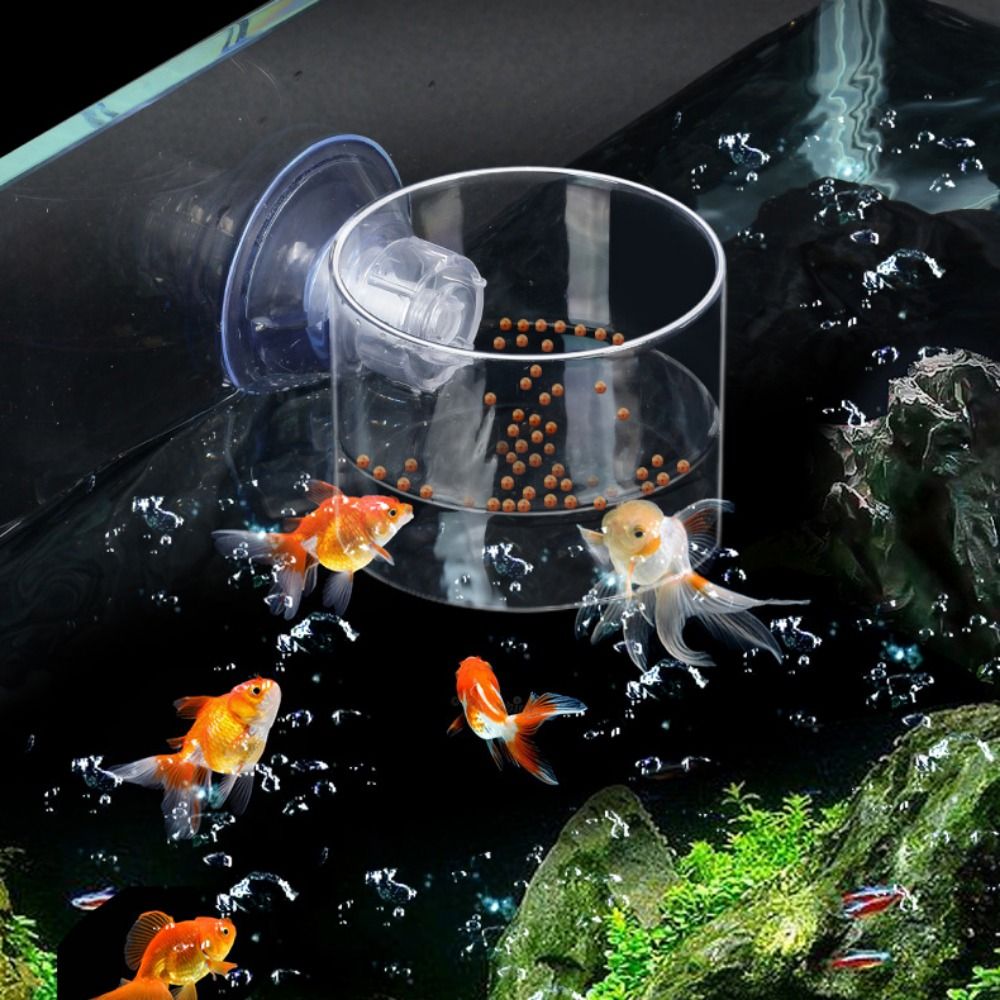 Rechthoekige/ronde aquariumzui - Aquarium Fish Feeder recensie en prijs