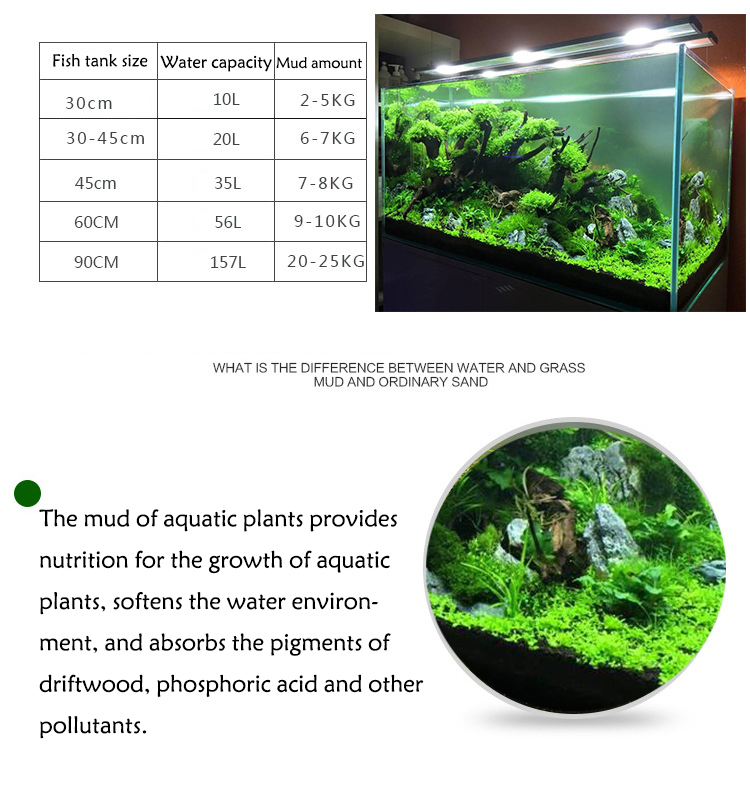 Aquarium Plant Zaden Bodem Fis - Aquarium Fish Accessories recensie en prijs