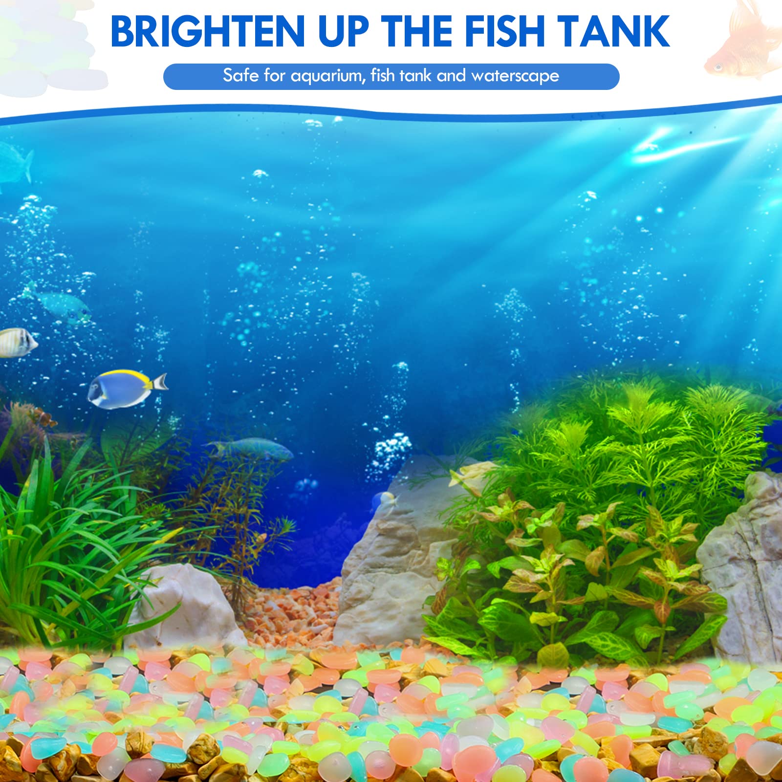 100 Stuks Glow in The Dark Tui - Aquarium Fish That Glow In The Dark recensie en prijs