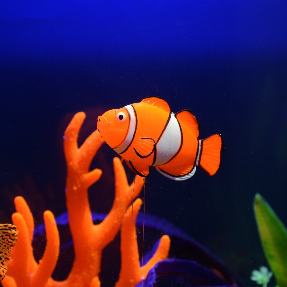 Glow in the Dark Lichtgevende  - Aquarium Fish That Glow In The Dark recensie en prijs