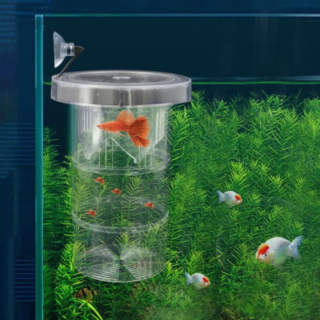 Acryl Drijvende Vis Fokken Iso - Aquarium Fish Feeder recensie en prijs