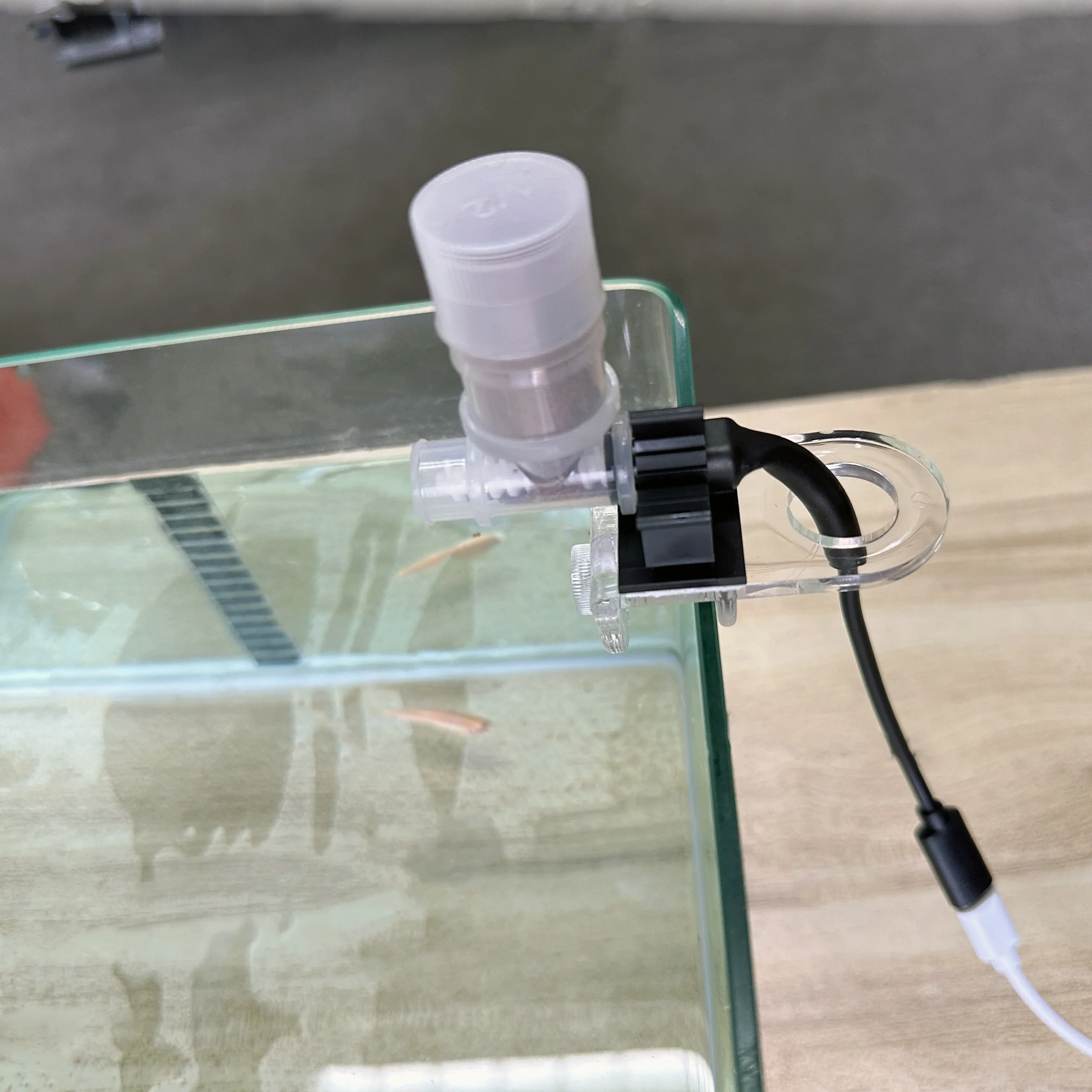 Beste automatische visvoeder - - Aquarium Fish Feeder recensie en prijs