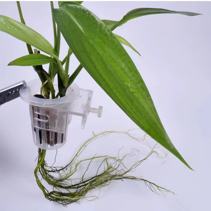 Aquarium Plantmand Hydroponisc - Aquarium Fish Photography recensie en prijs